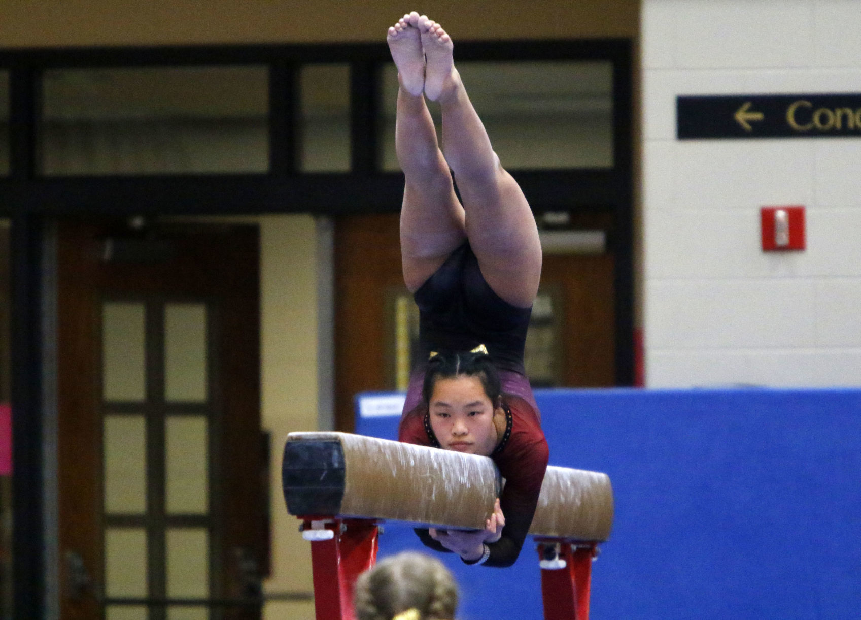 Gallery: Gymanstics state finals
